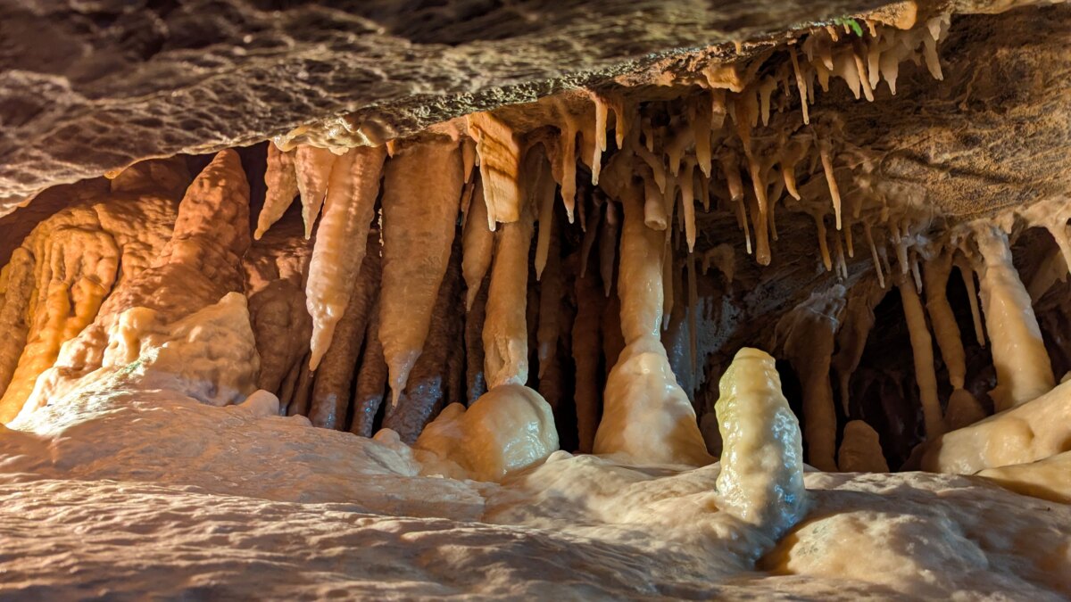 竜ヶ岩洞】2億5千万年前の世界、東海地方最大級の鍾乳洞｜静岡県浜松市